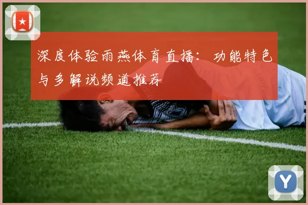 深度体验雨燕体育直播：功能特色与多解说频道推荐