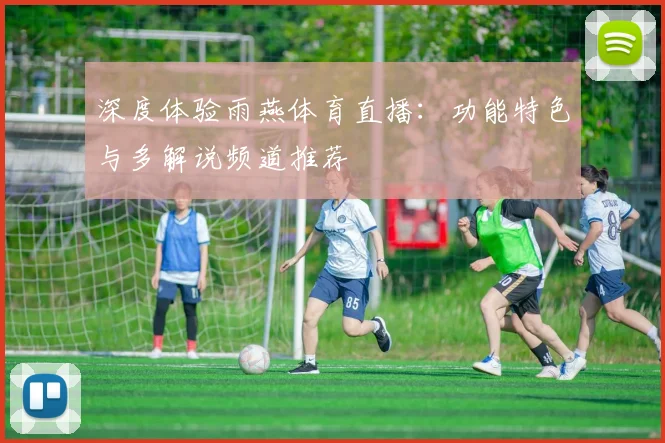 深度体验雨燕体育直播：功能特色与多解说频道推荐