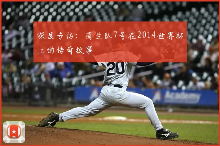 深度专访：荷兰队7号在2014世界杯上的传奇故事