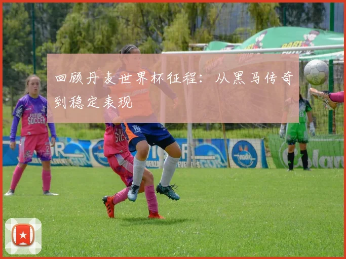 回顾丹麦世界杯征程：从黑马传奇到稳定表现