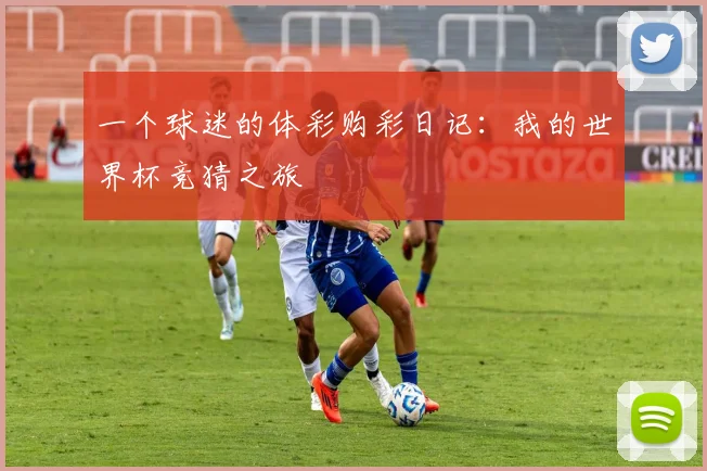 一个球迷的体彩购彩日记:我的世界杯竞猜之旅