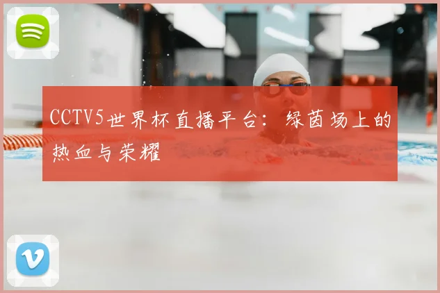 CCTV5世界杯直播平台：绿茵场上的热血与荣耀