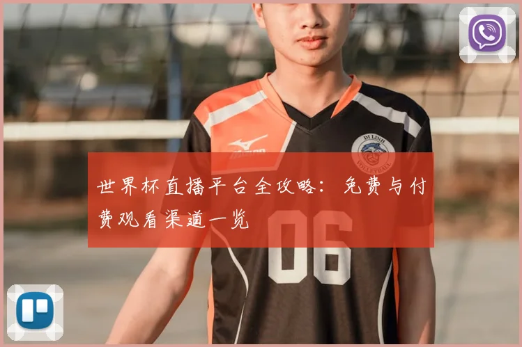 世界杯直播平台全攻略:免费与付费观看渠道一览