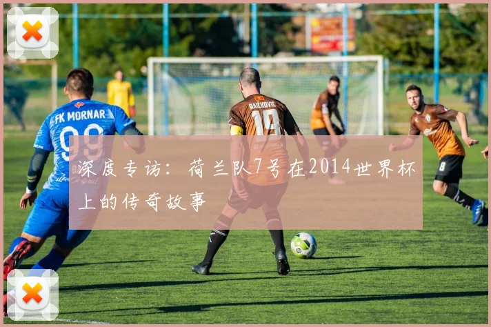 深度专访：荷兰队7号在2014世界杯上的传奇故事