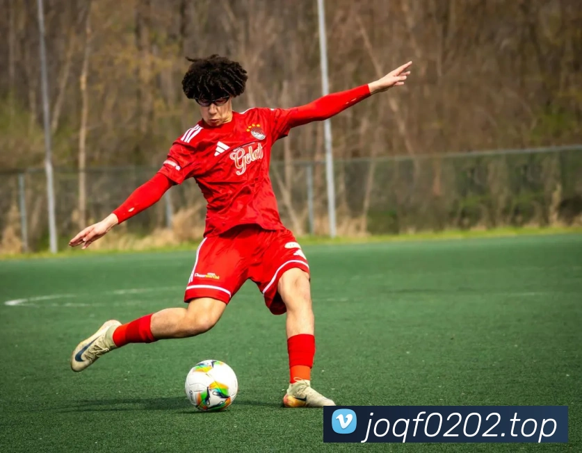 App Interface Preview