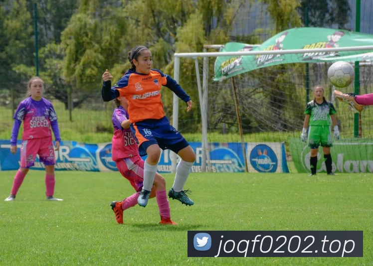 开云在线登录入口官网APP 封面图